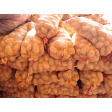 Mesh Bag Fresh Potato for Sale